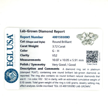 3.72 Carat Lab Grown Diamond Ring in Half Bezel Platinum Setting – Assay Jewelers