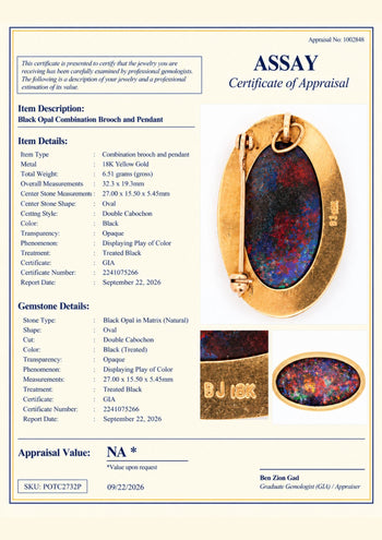 GIA Certified Oval Black Opal 18K Gold Pendant and Pin – Assay Jewelers