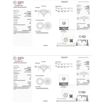 IGI Certified 6 Carat Total Round Cut 4-Prong Push Back Stud Earrings in 14K Gold – Assay Jewelers