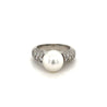 South Sea Pearl with Round Diamond Pave Side stones in Platinum Ring